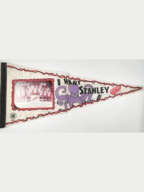 DETROIT RED WINGS Vintage NHL 1995-96 "I Want Stanley" Team Photo Pennant Banner